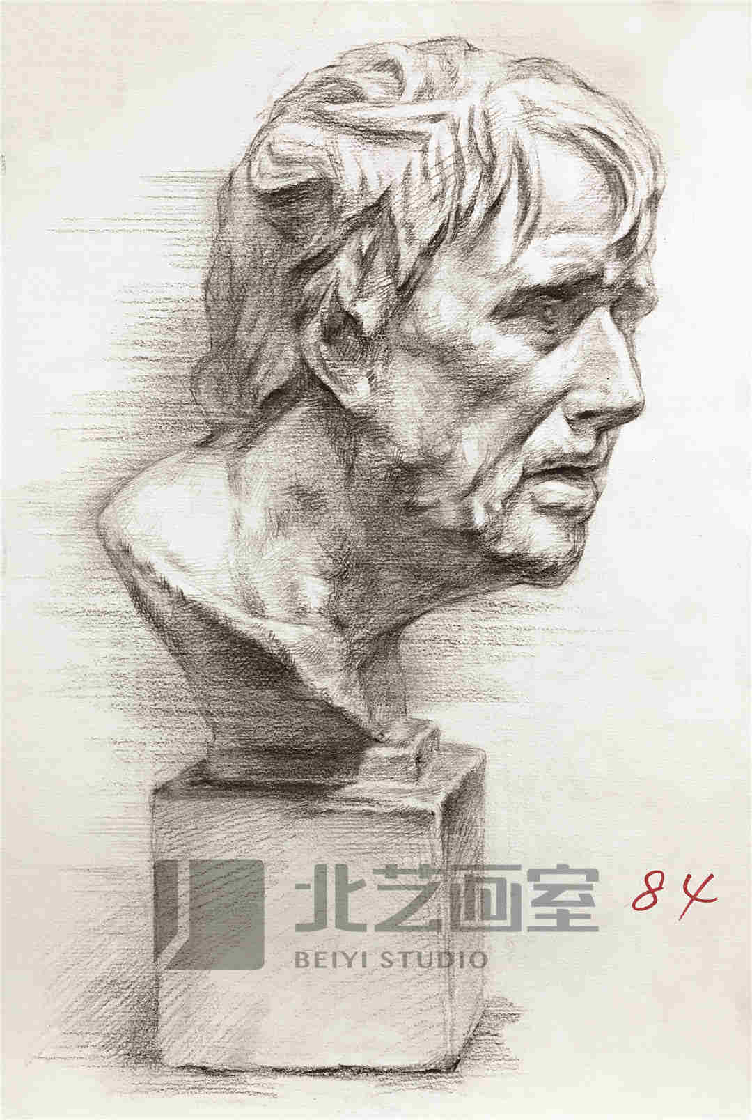 素描石膏像——海盗侧面赏析