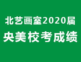 全国前5占2人，北艺画室2020年【中央美院】成绩再创新高度！