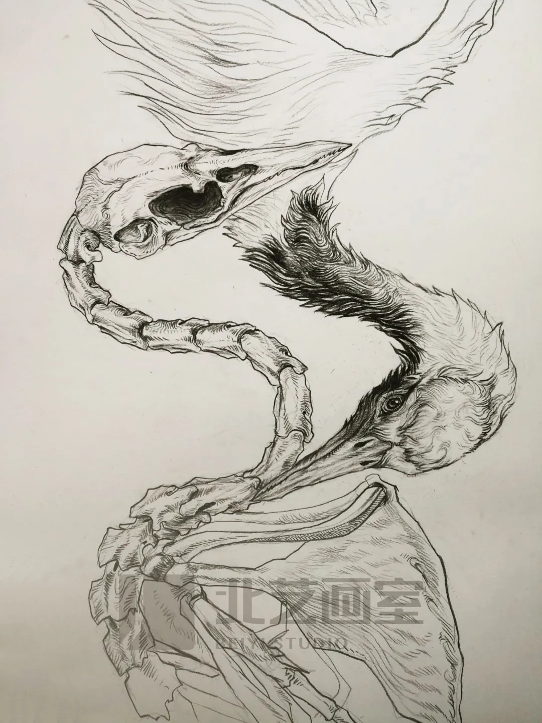 2020年北艺学员央美备考作品