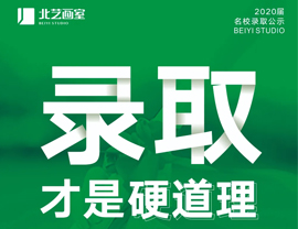 北艺画室2020届一本录取名单